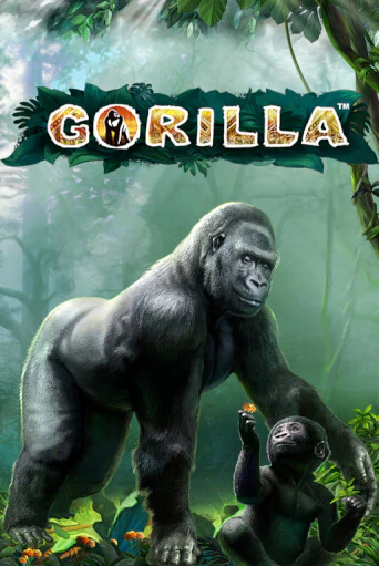 Играть Gorilla без регистрации | Вулкан Неон бесплатные игры