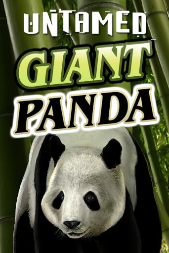 Играть Untamed - Giant Panda без регистрации | Вулкан Неон бесплатные игры