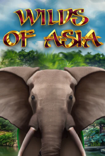 Играть Wilds of Asia без регистрации | Вулкан Неон бесплатные игры